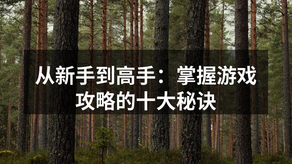 从新手到高手：掌握游戏攻略的十大秘诀